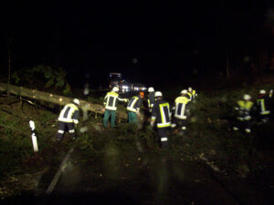 1455119600_1-300x225 Baum über Fahrbahn: B22 Großenschwand - Woppenrieth