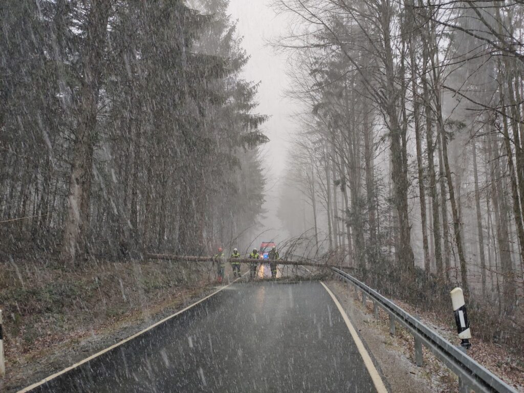 1583495442_2-1024x768 THL Baum über Fahrbahn Tännesberg -> Atzenhof