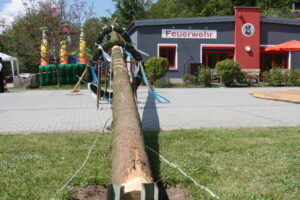IMG_9940-300x200 Feuerwehr Tännesberg stellt Maibaum auf