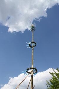 IMG_9984-200x300 Feuerwehr Tännesberg stellt Maibaum auf